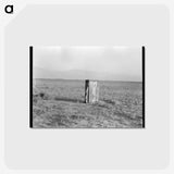2-75_Dorothea-Lange_postcard