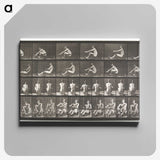 2-75_Eadweard-Muybridge_canvas