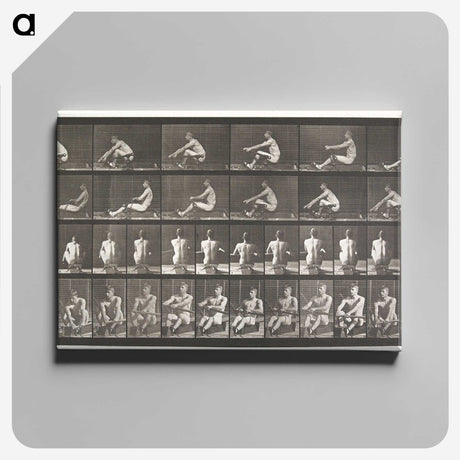 2-75_Eadweard-Muybridge_canvas