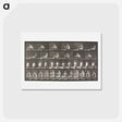 アートポストカード-Rowing
 - エドワード マイブリッジ Postcard.