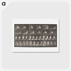 アートポストカード-Rowing
 - エドワード マイブリッジ Postcard.