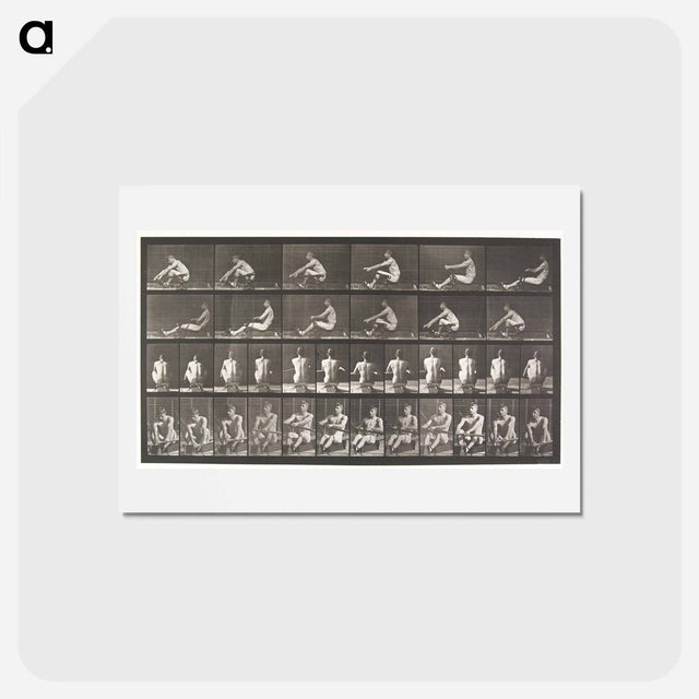 アートポストカード-Rowing
 - エドワード マイブリッジ Postcard.