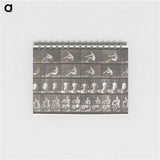 2-75_Eadweard-Muybridge_memo