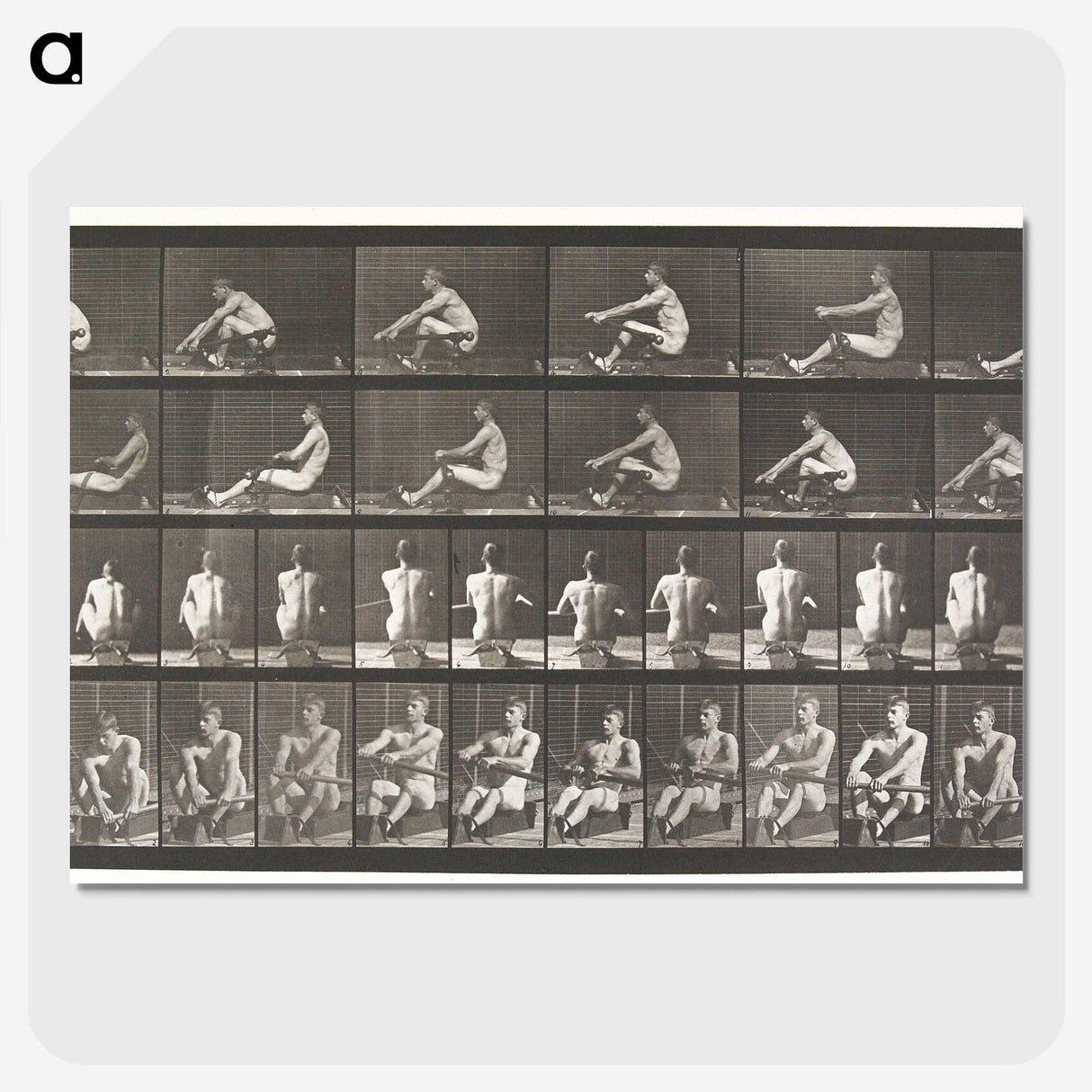 2-75_Eadweard-Muybridge_picture-crop