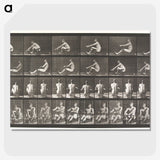 2-75_Eadweard-Muybridge_picture-crop