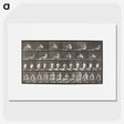 2-75_Eadweard-Muybridge_picture