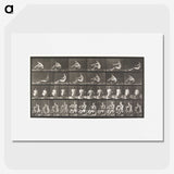 2-75_Eadweard-Muybridge_picture