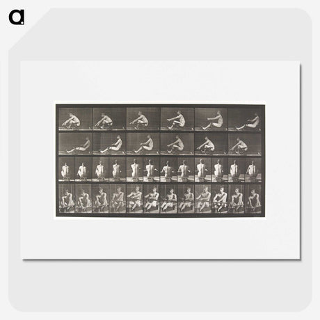 2-75_Eadweard-Muybridge_picture