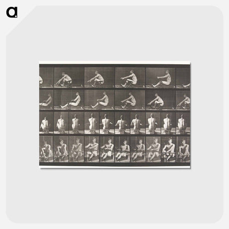 アートポストカード-Rowing
 - エドワード マイブリッジ Postcard.