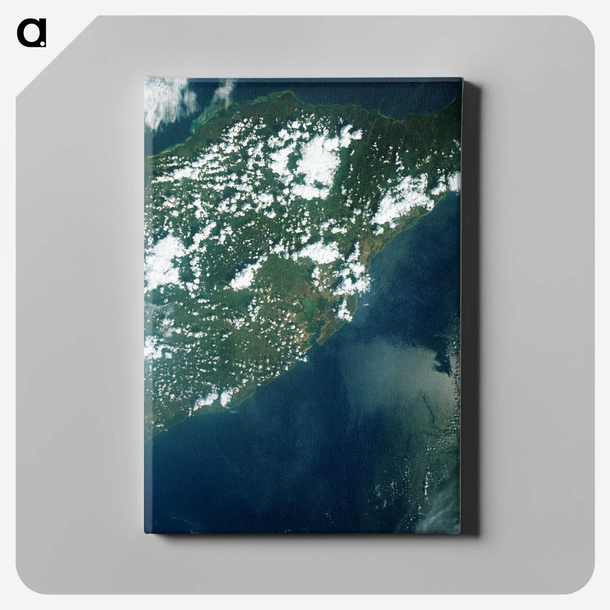 2-75_Earth-from-Above_canvas