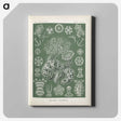 2-75_Ernst-Haeckel_canvas