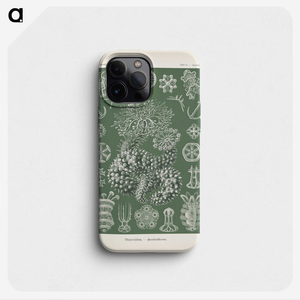 2-75_Ernst-Haeckel_phone