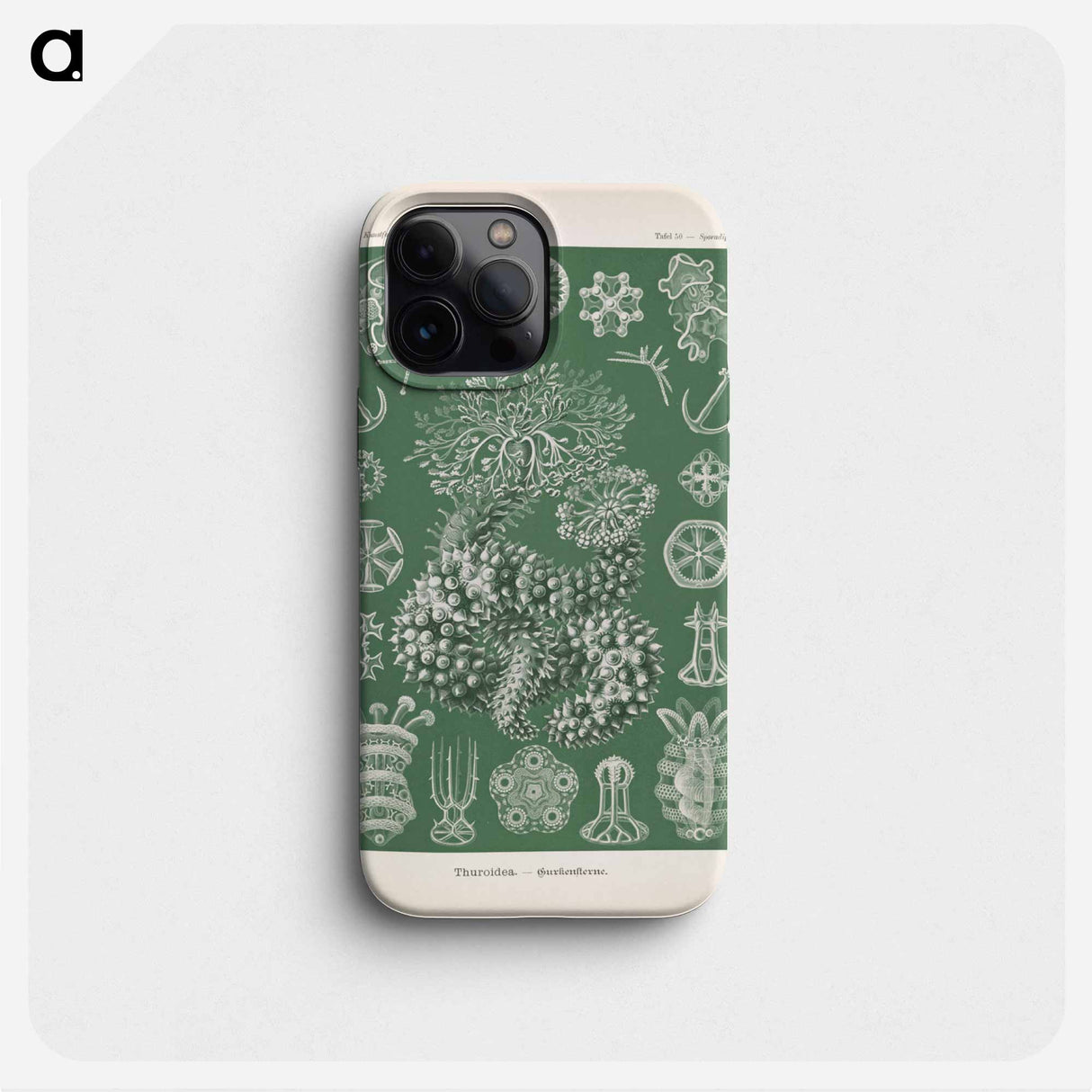 Marine life illustration - エルンスト ヘッケル Phone Case.