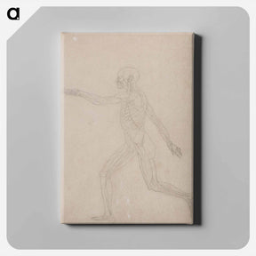 アートパネル-Human Figure, Lateral View
 - ジョージ スタッブス Canvas.