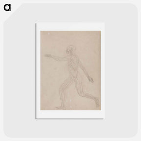 アートポストカード-Human Figure, Lateral View
 - ジョージ スタッブス Postcard.