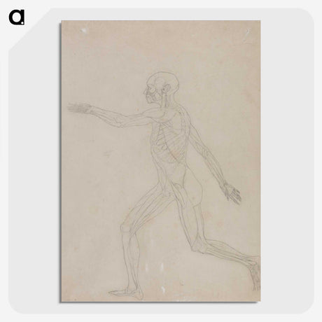 2-75_George-Stubbs_picture-crop
