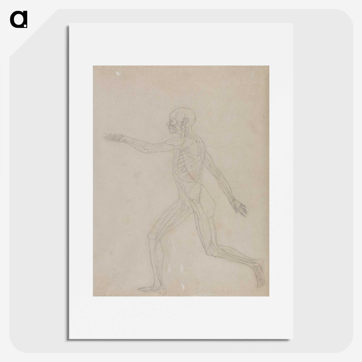 2-75_George-Stubbs_picture