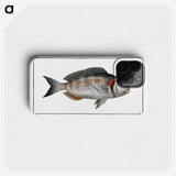 2-75_Ichtyologie-ou-Histoire-naturelle_phone