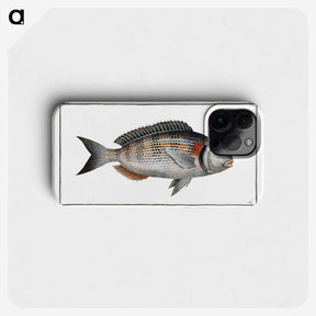 2-75_Ichtyologie-ou-Histoire-naturelle_phone
