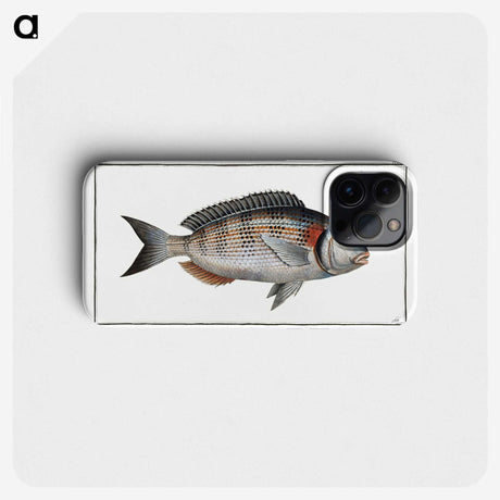 2-75_Ichtyologie-ou-Histoire-naturelle_phone