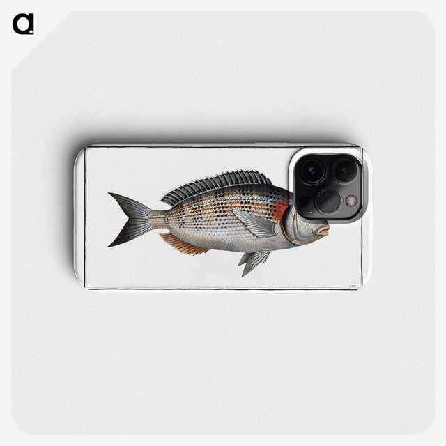 2-75_Ichtyologie-ou-Histoire-naturelle_phone