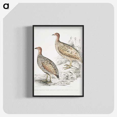 2-75_Indian-Zoology_blk-crop