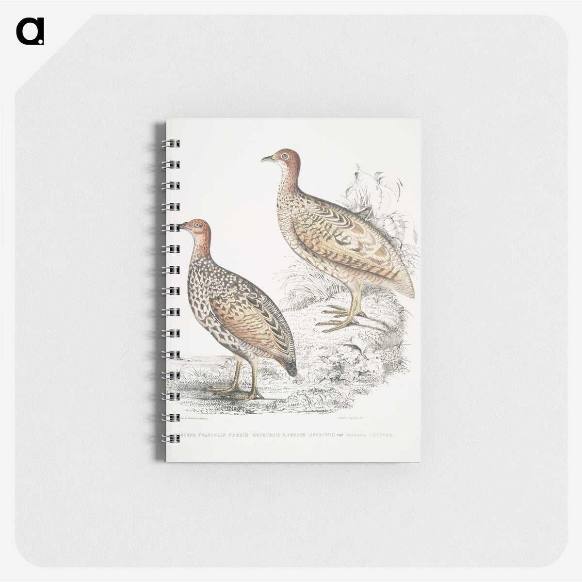 2-75_Indian-Zoology_memo