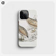 2-75_Indian-Zoology_phone