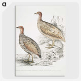 2-75_Indian-Zoology_picture-crop