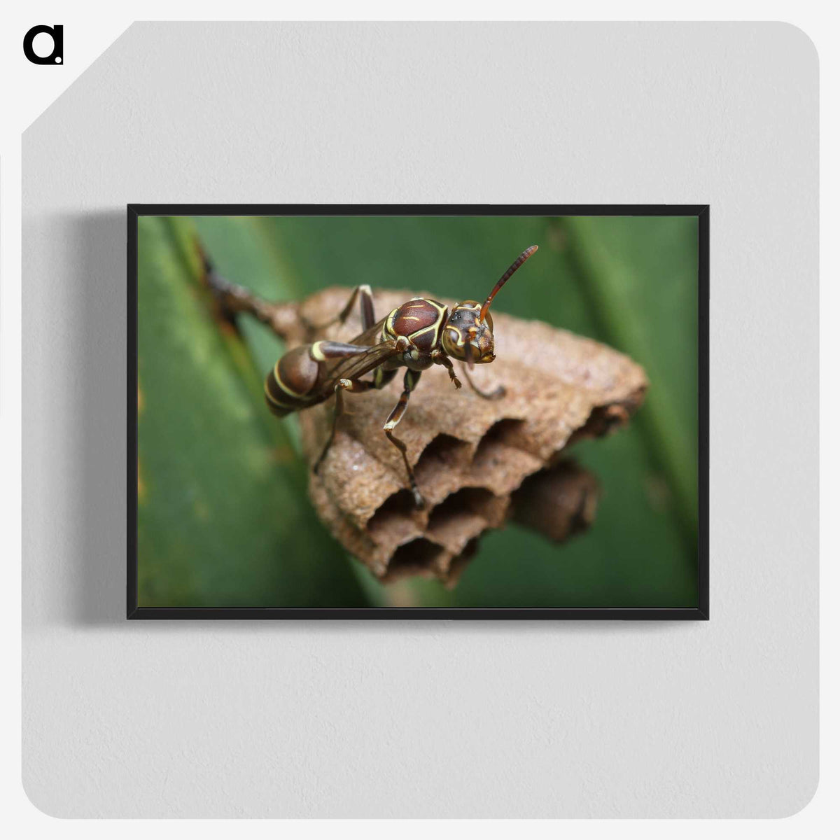 2-75_Insects-Unlocked-Project_blk-crop