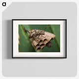 2-75_Insects-Unlocked-Project_blk