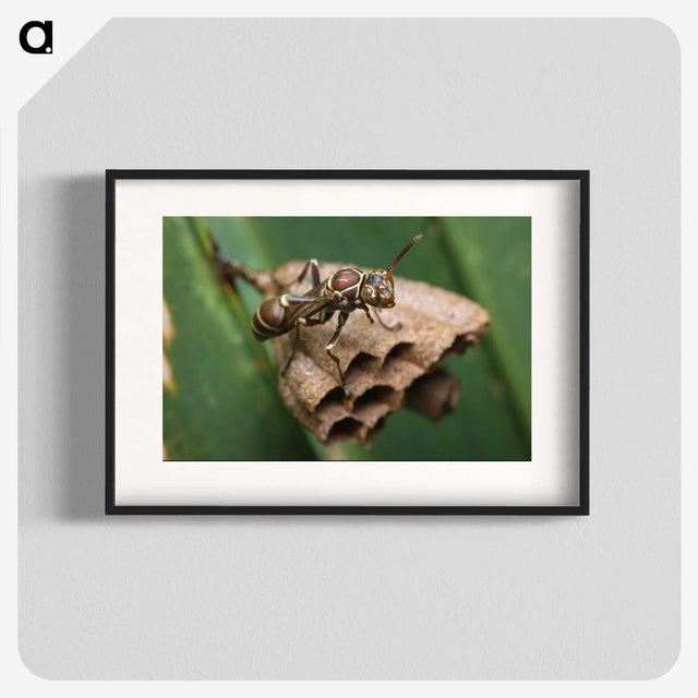2-75_Insects-Unlocked-Project_blk
