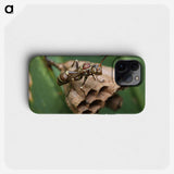 2-75_Insects-Unlocked-Project_phone