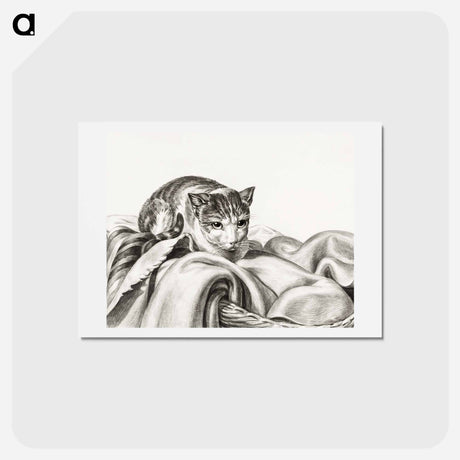 アートポストカード-Cat sitting in a basket - ジャン ベルナール Postcard.
