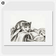 2-75_Jean-Bernard_picture