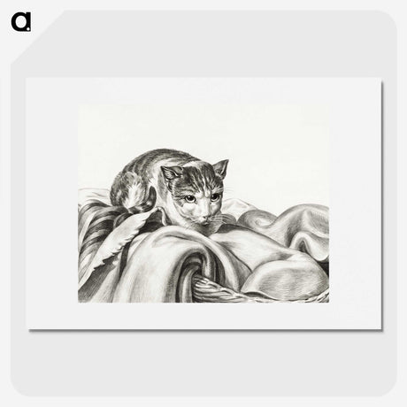 2-75_Jean-Bernard_picture