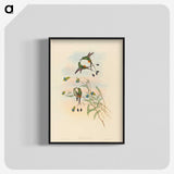 2-75_John-Gould_blk-crop