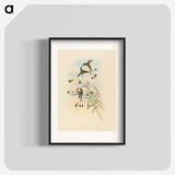 2-75_John-Gould_blk