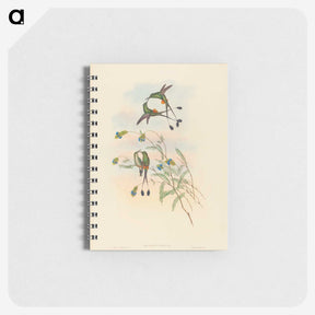 2-75_John-Gould_memo
