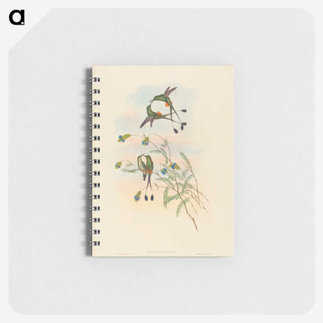 2-75_John-Gould_memo