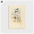 2-75_John-Gould_postcard