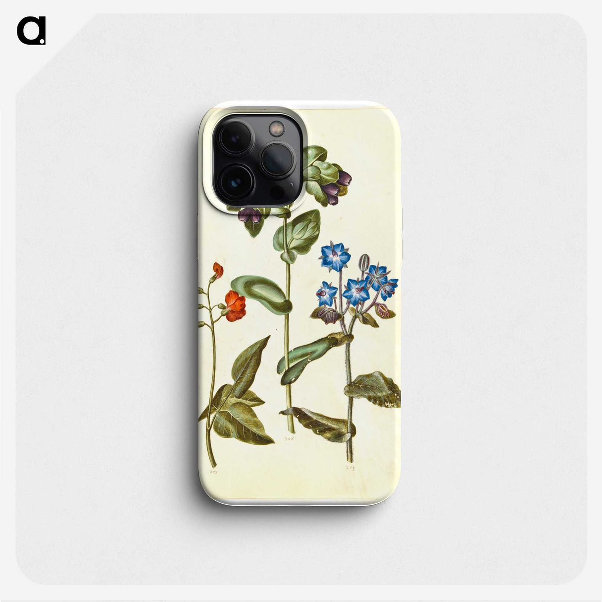 2-75_Maria-Sibylla-Merian_phone