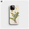 2-75_Mary-Vaux-Walcott_phone