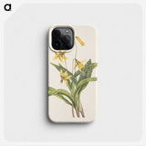 2-75_Mary-Vaux-Walcott_phone