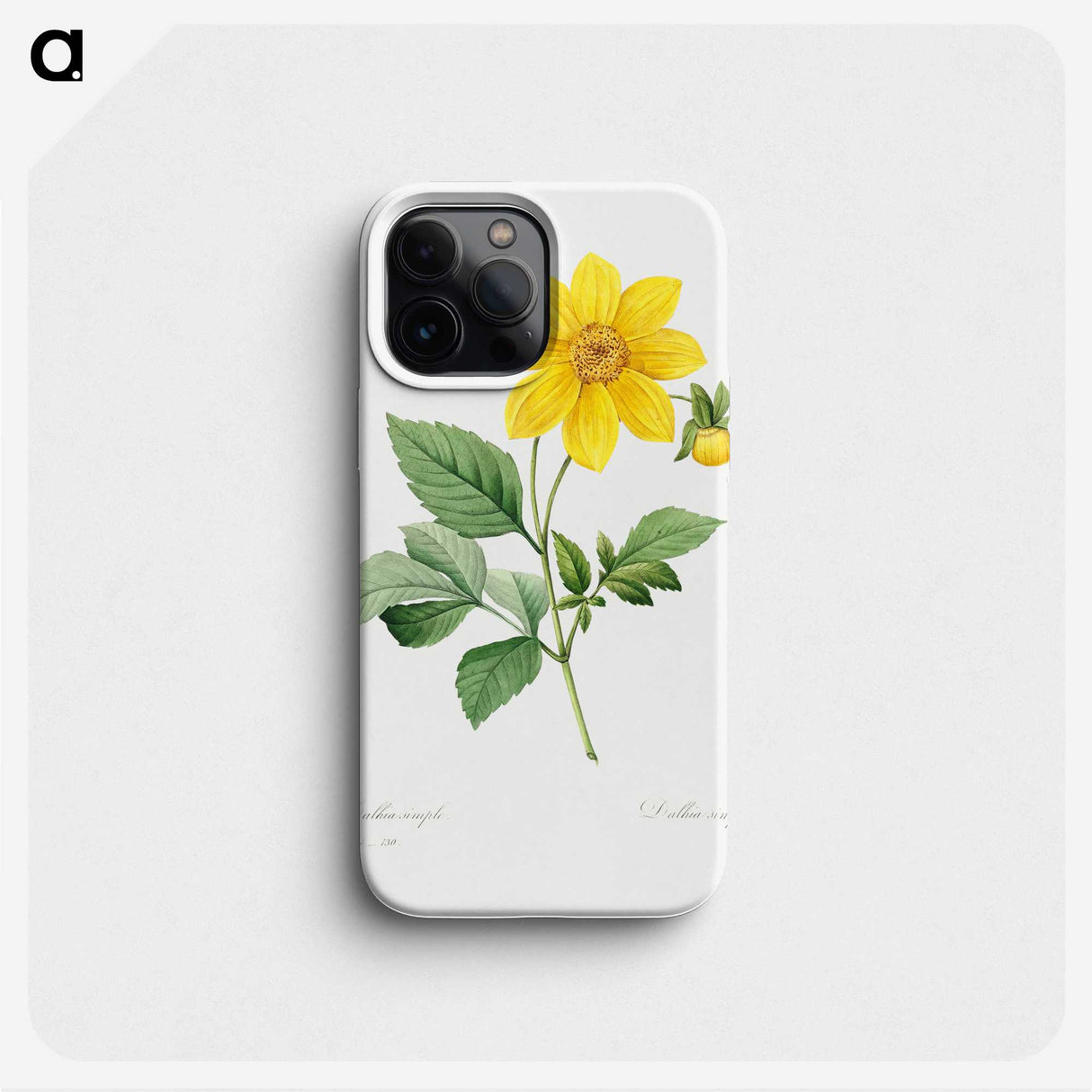 2-75_Pierre-Joseph-Redoute_phone
