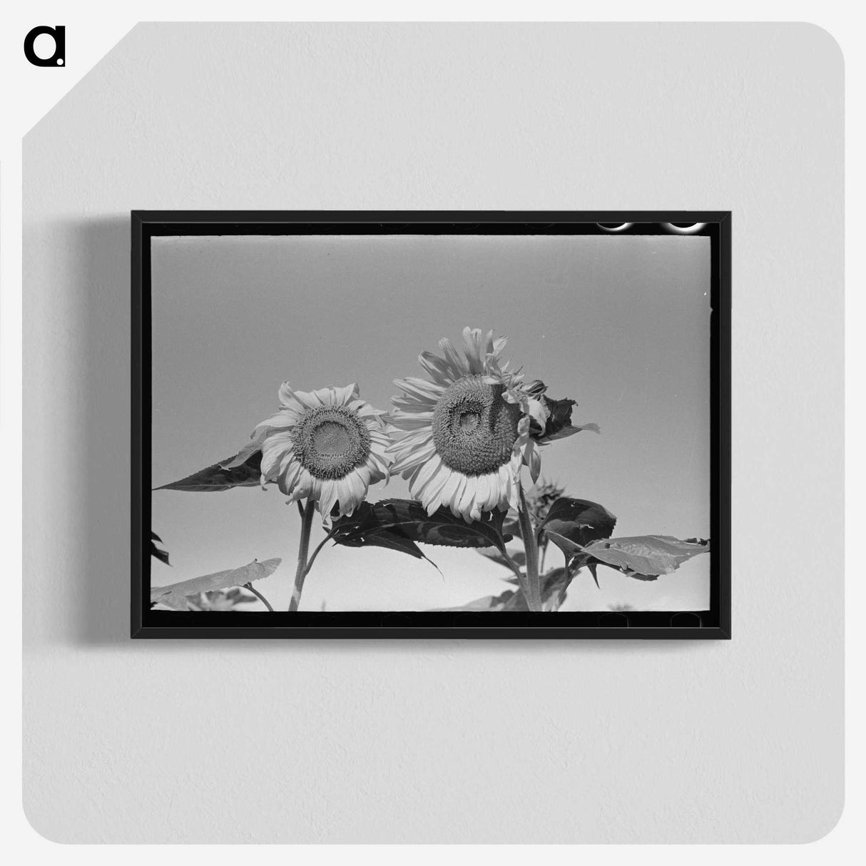 2-75_Russell-Lee_blk-crop