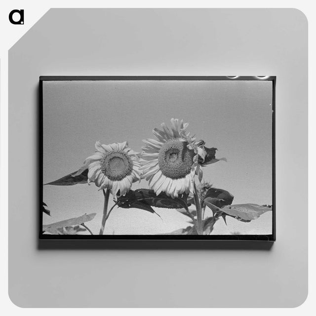 2-75_Russell-Lee_canvas
