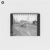 アートメモ帳-Sunflower Field, Southeast Missouri
 - ラッセル リー Memo.