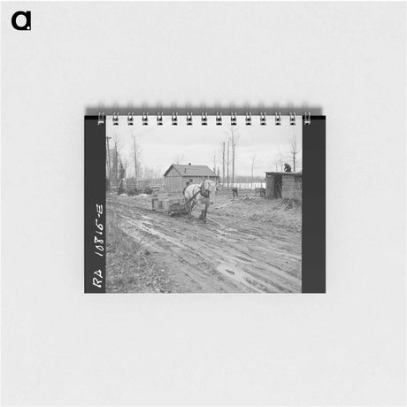 アートメモ帳-Sunflower Field, Southeast Missouri
 - ラッセル リー Memo.
