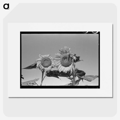 2-75_Russell-Lee_picture